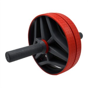 Exercise Wheel
