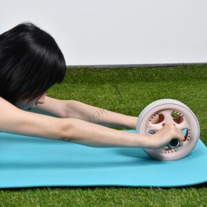 Exercise Wheel