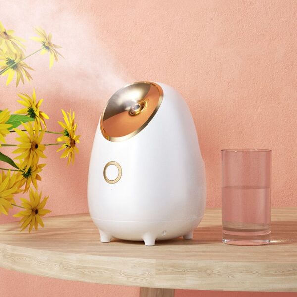 Moisturizing Face steamer