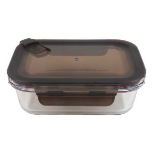 Glass lunch box 62