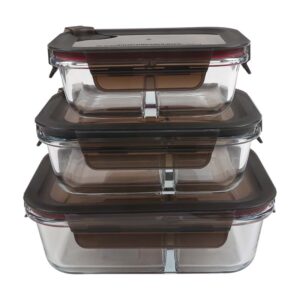 Glass lunch box set